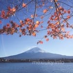 Avatar de Lorenzo Robles